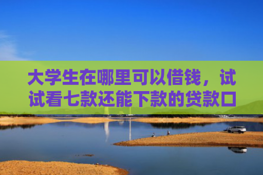 大学生在哪里可以借钱，试试看七款还能下款的贷款口子