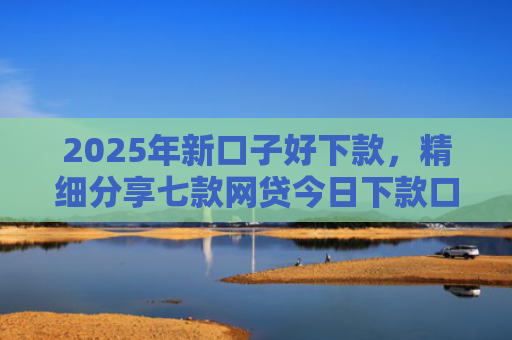 2025年新口子好下款，精细分享七款网贷今日下款口子