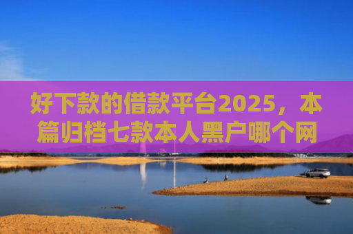 好下款的借款平台2025，本篇归档七款本人黑户哪个网贷能下款