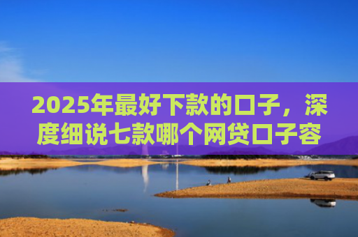 2025年最好下款的口子，深度细说七款哪个网贷口子容易下款
