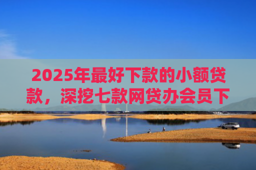 2025年最好下款的小额贷款，深挖七款网贷办会员下款口子