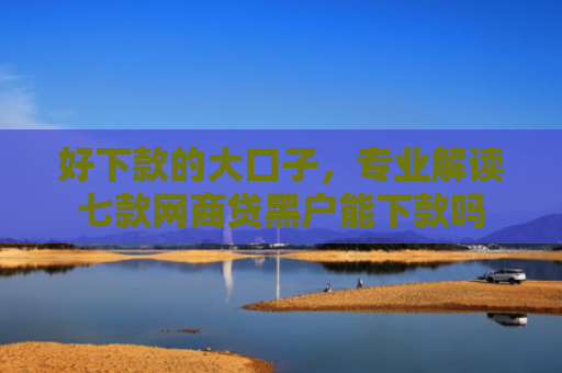 好下款的大口子，专业解读七款网商贷黑户能下款吗
