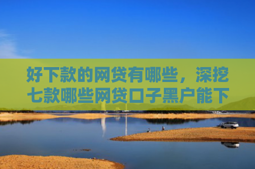 好下款的网贷有哪些，深挖七款哪些网贷口子黑户能下款