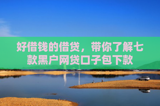 好借钱的借贷，带你了解七款黑户网贷口子包下款