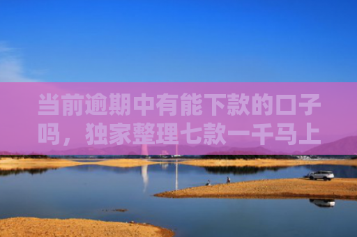 当前逾期中有能下款的口子吗，独家整理七款一千马上下款的贷款口子