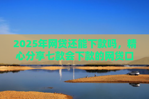 2025年网贷还能下款吗，精心分享七款会下款的网贷口子