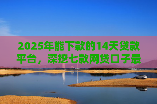 2025年能下款的14天贷款平台，深挖七款网贷口子最容易下款