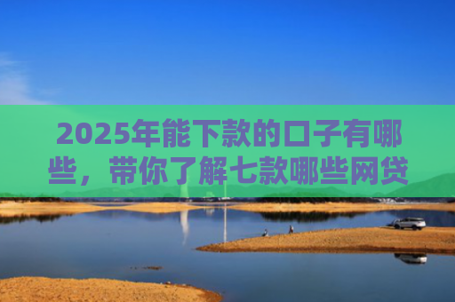 2025年能下款的口子有哪些，带你了解七款哪些网贷口子必下款