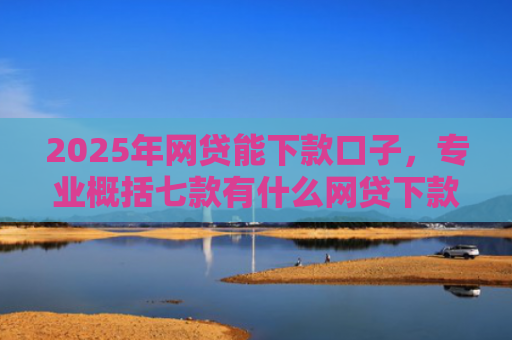 2025年网贷能下款口子，专业概括七款有什么网贷下款口子