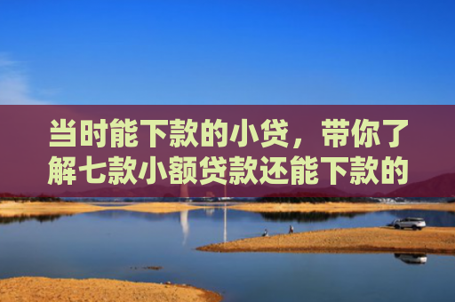 当时能下款的小贷，带你了解七款小额贷款还能下款的口子