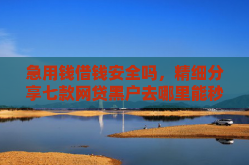 急用钱借钱安全吗，精细分享七款网贷黑户去哪里能秒下款