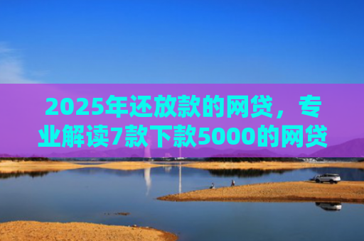 2025年还放款的网贷，专业解读7款下款5000的网贷口子