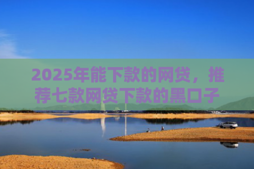 2025年能下款的网贷，推荐七款网贷下款的黑口子