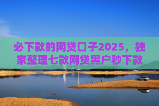 必下款的网贷口子2025，独家整理七款网贷黑户秒下款的口子6