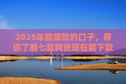 2025年能放款的口子，带你了解七款网贷现在能下款口子