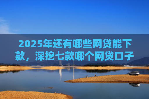 2025年还有哪些网贷能下款，深挖七款哪个网贷口子下款最快