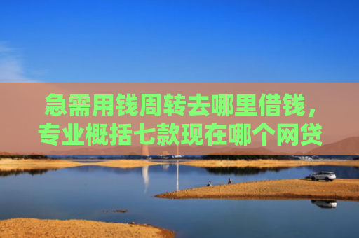 急需用钱周转去哪里借钱，专业概括七款现在哪个网贷黑户能下款