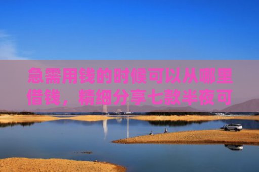 急需用钱的时候可以从哪里借钱，精细分享七款半夜可以下款的黑户网贷