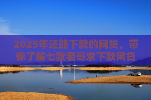 2025年还能下款的网贷，带你了解七款老哥求下款网贷口子