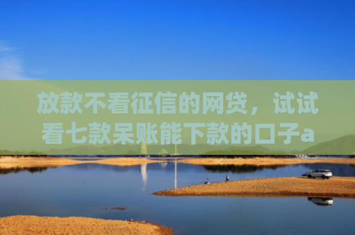 放款不看征信的网贷，试试看七款呆账能下款的口子app