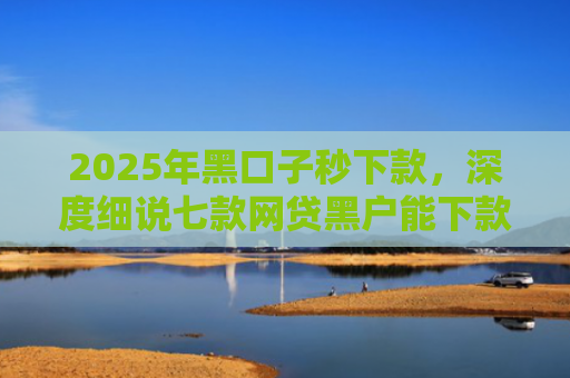 2025年黑口子秒下款，深度细说七款网贷黑户能下款口子