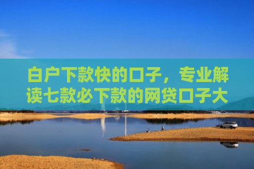白户下款快的口子，专业解读七款必下款的网贷口子大全
