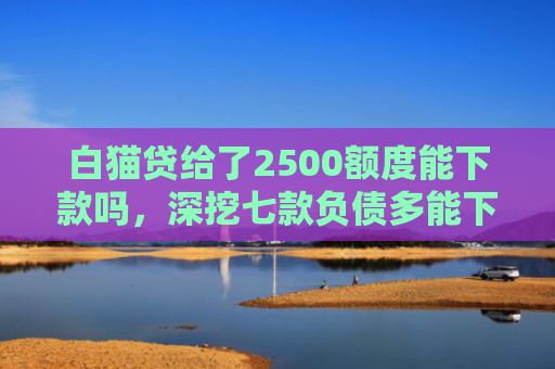 白猫贷给了2500额度能下款吗，深挖七款负债多能下款的网贷口子