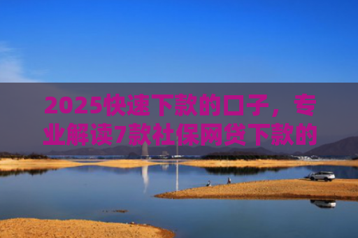 2025快速下款的口子，专业解读7款社保网贷下款的口子