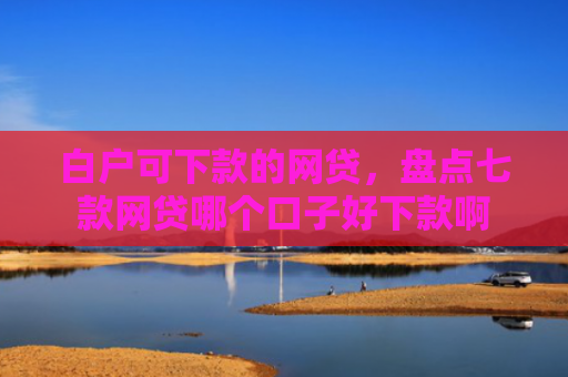 白户可下款的网贷，盘点七款网贷哪个口子好下款啊