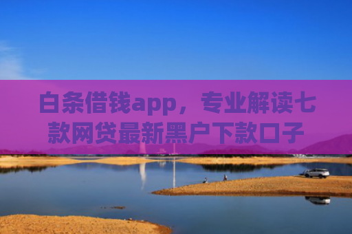 白条借钱app，专业解读七款网贷最新黑户下款口子