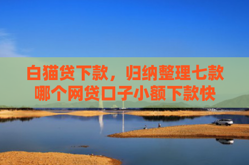 白猫贷下款，归纳整理七款哪个网贷口子小额下款快