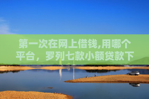 第一次在网上借钱,用哪个平台，罗列七款小额贷款下款快的口子