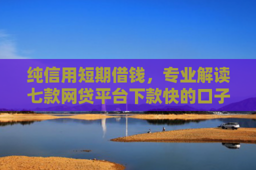 纯信用短期借钱，专业解读七款网贷平台下款快的口子
