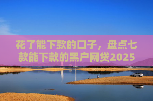 花了能下款的口子，盘点七款能下款的黑户网贷2025