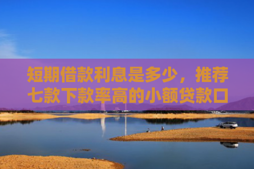 短期借款利息是多少，推荐七款下款率高的小额贷款口子