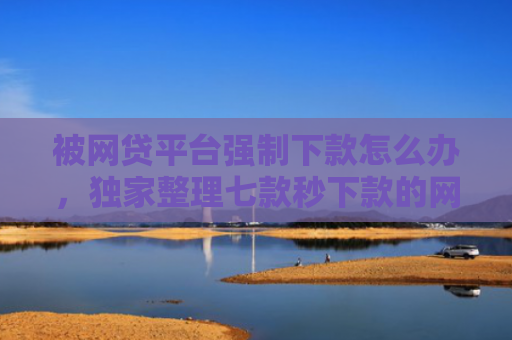 被网贷平台强制下款怎么办，独家整理七款秒下款的网贷口子叫什么