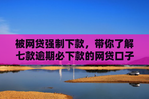 被网贷强制下款，带你了解七款逾期必下款的网贷口子2025