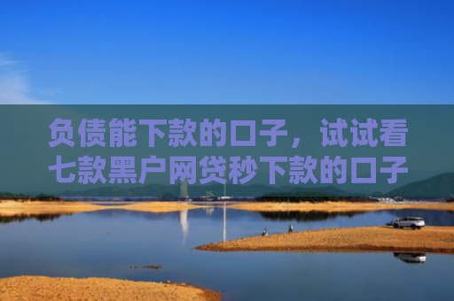 负债能下款的口子，试试看七款黑户网贷秒下款的口子