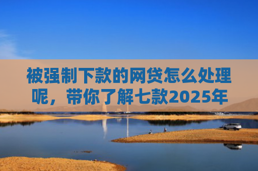 被强制下款的网贷怎么处理呢，带你了解七款2025年容易下款的网贷口子