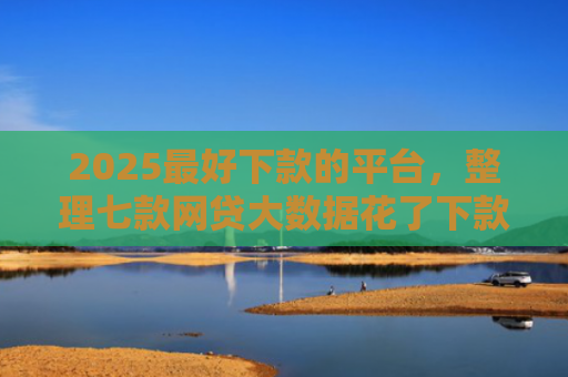 2025最好下款的平台，整理七款网贷大数据花了下款口子