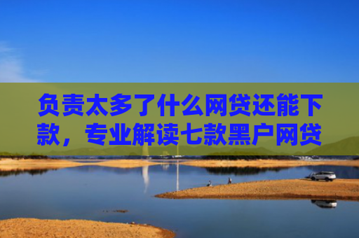 负责太多了什么网贷还能下款，专业解读七款黑户网贷能下款的口子