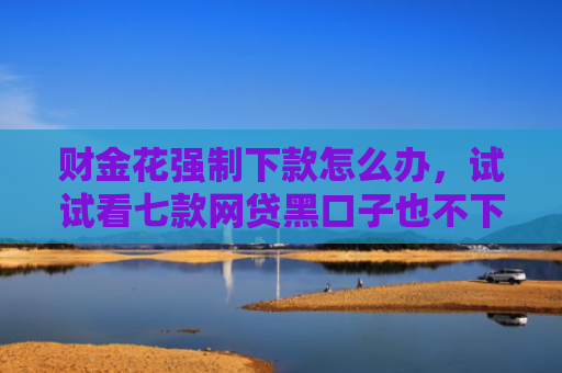 财金花强制下款怎么办，试试看七款网贷黑口子也不下款 是为什么