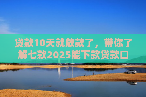 贷款10天就放款了，带你了解七款2025能下款贷款口子