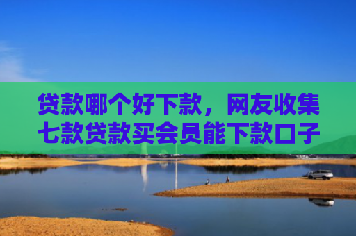贷款哪个好下款，网友收集七款贷款买会员能下款口子