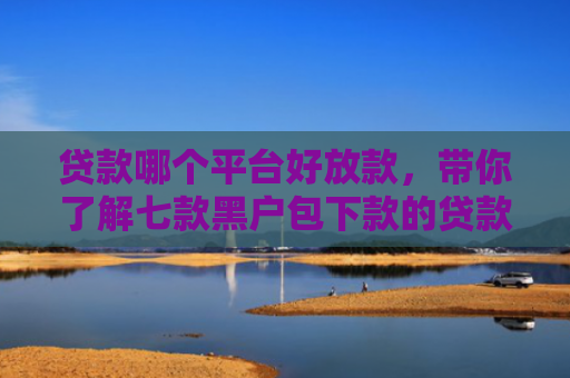 贷款哪个平台好放款，带你了解七款黑户包下款的贷款口子