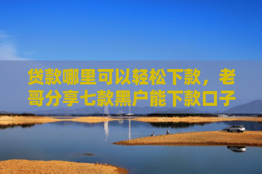 贷款哪里可以轻松下款，老哥分享七款黑户能下款口子贷款吗
