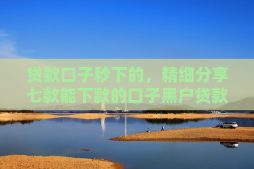 贷款口子秒下的，精细分享七款能下款的口子黑户贷款