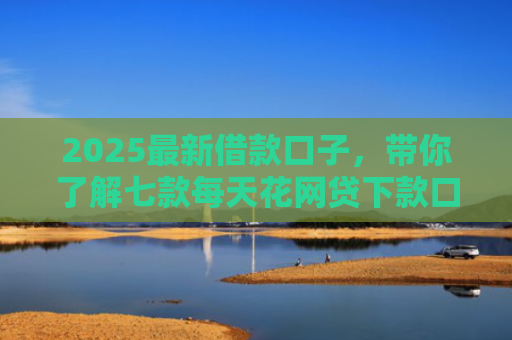 2025最新借款口子，带你了解七款每天花网贷下款口子