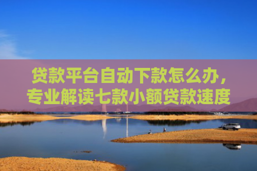 贷款平台自动下款怎么办，专业解读七款小额贷款速度下款口子
