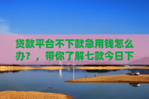 贷款平台不下款急用钱怎么办？，带你了解七款今日下款的贷款口子